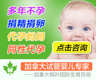枫叶生育-marketing images-336-280.jpg